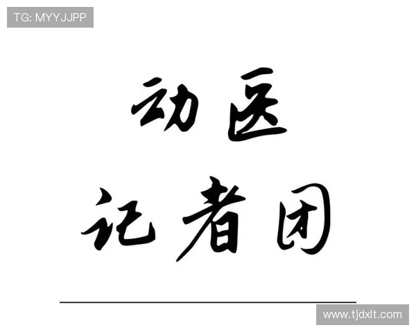 武汉羽毛球队快速转型背后的故事与挑战分析